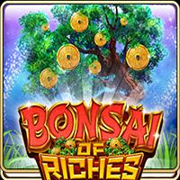 Bonsai of Riches